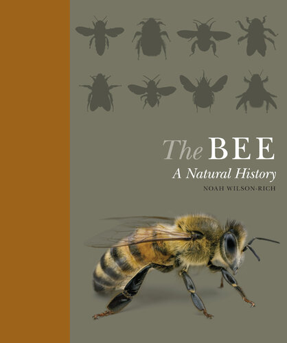 The Bee: A Natural History