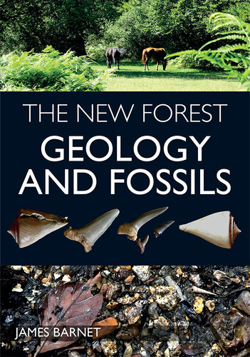 NEW FOREST : geology and fossils.