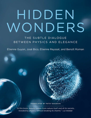 Hidden wonders : the subtle dialogue between physics and elegance