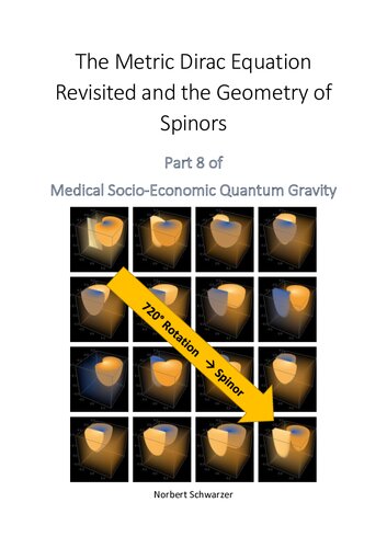 The World Formula: A Late Recognition of David Hilbert‘s Stroke of Genius