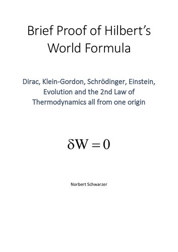 The World Formula: A Late Recognition of David Hilbert‘s Stroke of Genius