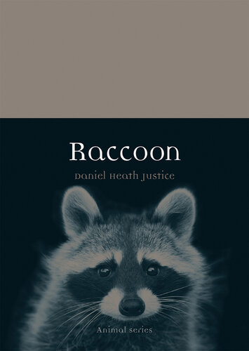Raccoon