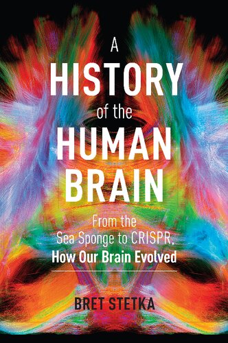 A History of the Human Brain: From the Sea Sponge to CRISPR, How Our Brain Evolved