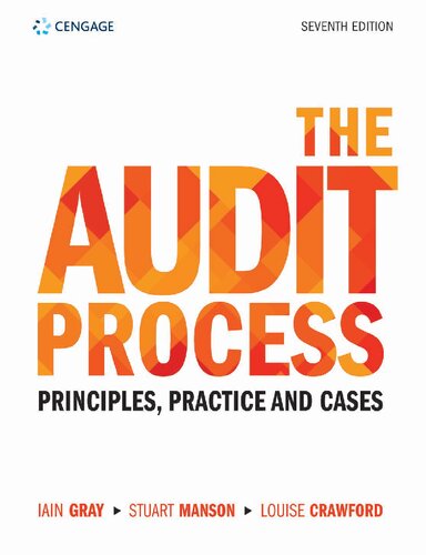 The Audit Process