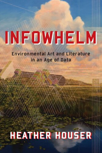 Infowhelm: Environmental Art and Literature in an Age of Data (Literature Now)