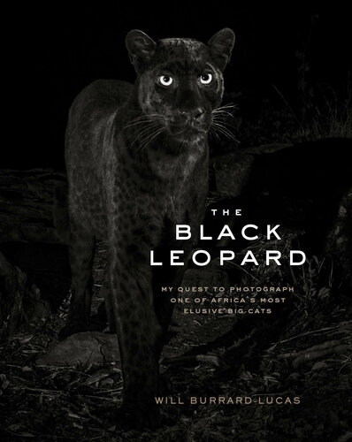 The Black Leopard: My Quest to Photograph One of Africa’s Most Elusive Big Cats