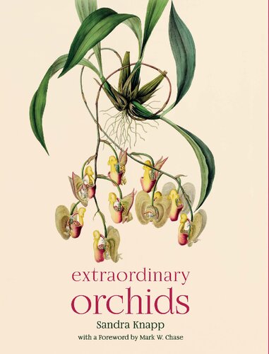 Extraordinary Orchids