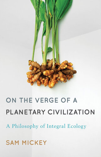 On the Verge of a Planetary Civilization: A Philosophy of Integral Ecology