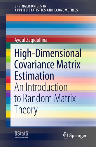 High-Dimensional Covariance Matrix Estimation: An Introduction to Random Matrix Theory