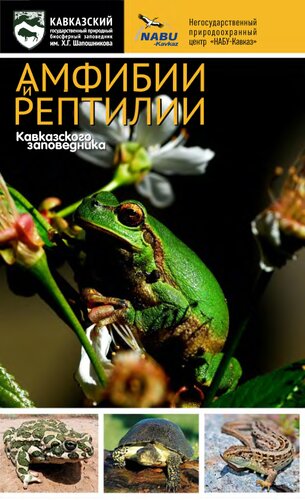 Амфибии и рептилии Кавказского заповедника