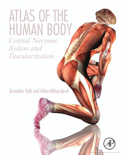 Atlas of the human body : central nervous system and vascularization