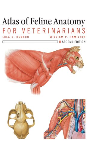 Atlas of feline anatomy for veterinarians