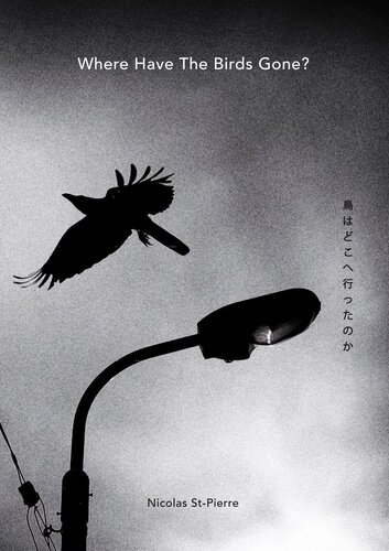 Where Have the Birds Gone?