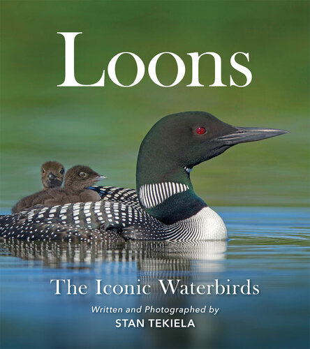 Loons: The Iconic Waterbirds