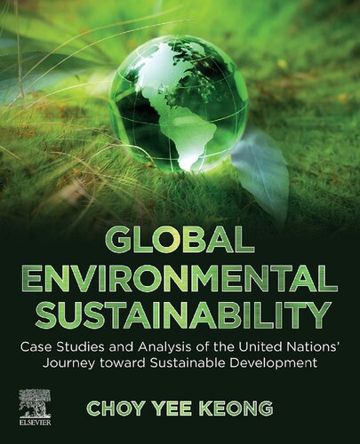 Global Environmental Sustainability: Case Studies and Analysis of the United Nations’ Journey toward Sustainable Development