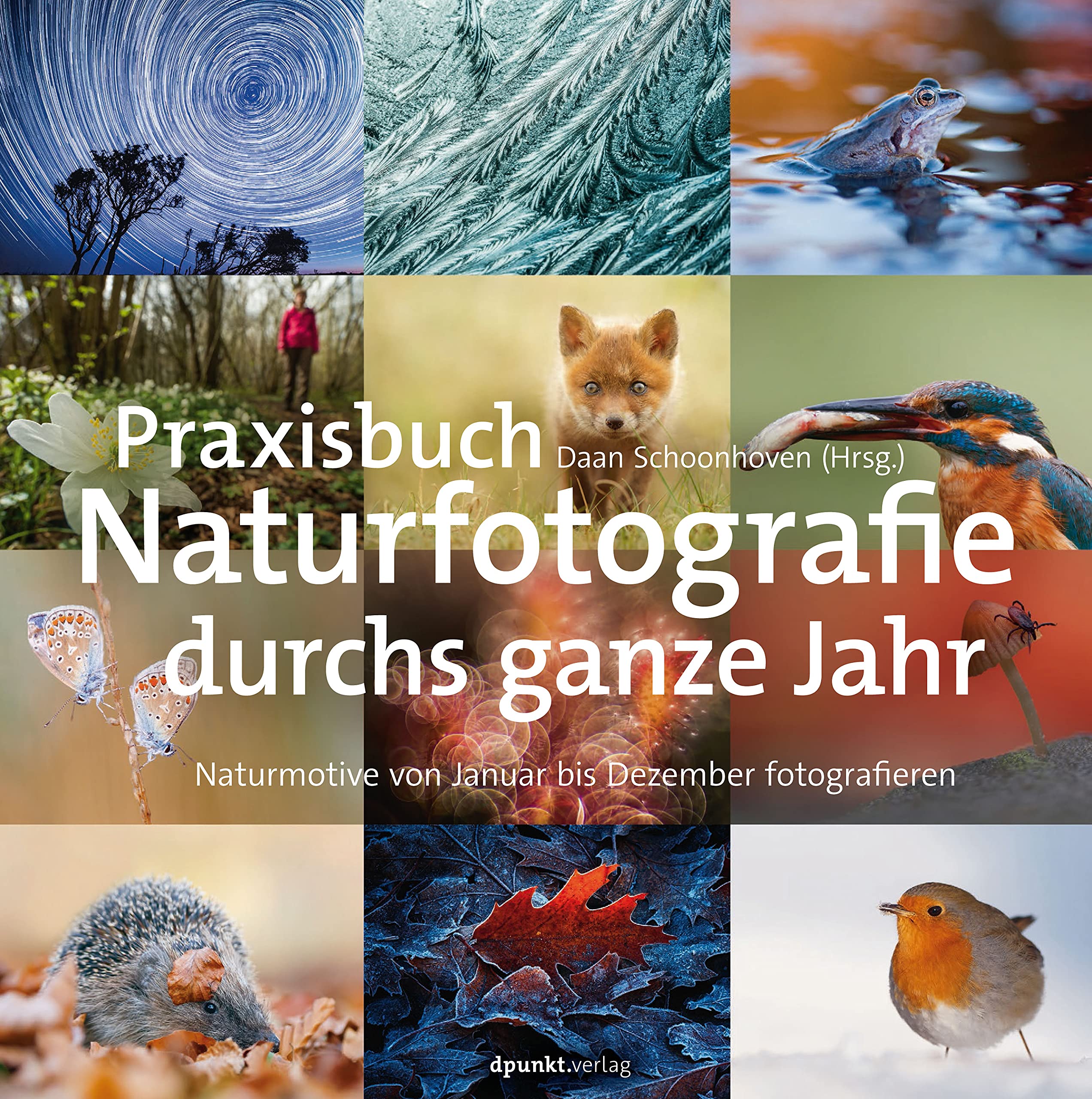 Praxisbuch Naturfotografie durchs ganze Jahr: Naturmotive von Januar bis Dezember fotografieren