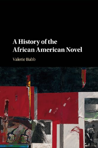 A History of the African American Novel