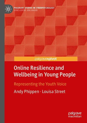 Online Resilience and Wellbeing in Young People: Representing the Youth Voice