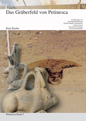 Das Gräberfeld von Petinesca