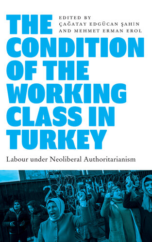 The Condition of the Working Class in Turkey: Labour Under Neoliberal Authoritarianism