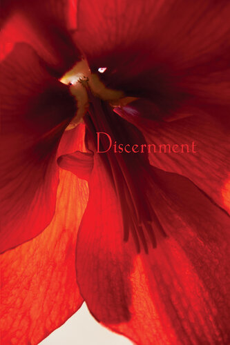 Discernment: The Buddha's Strategies for Happiness II