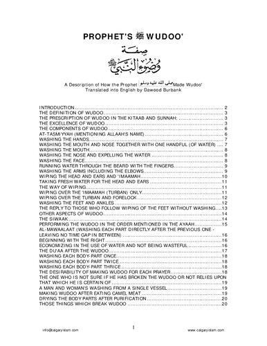 Prophet's ﷺ Wudoo' Translated by
