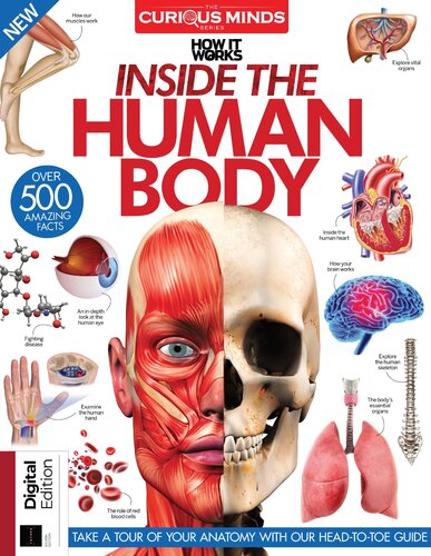 Inside The Human Body