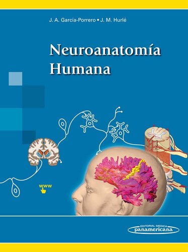 GARCIA-PORRERO:Neuroanatom a Humana (Spanish Edition)