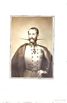 Stephan Victor, Erzherzog von Österreich : Sein Leben, Wirken und sein Tod