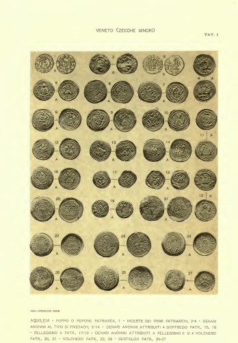 Catalogo generale delle monete mediovali e moderne coniate in Italia o da italiani in altri paesi vol VI, VII, VIII. tavole-CNI06