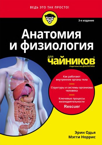 Анатомия и физиология для чайников