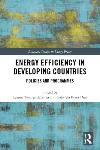 Energy Efficiency in Developing Countries: Policies and Programmes
