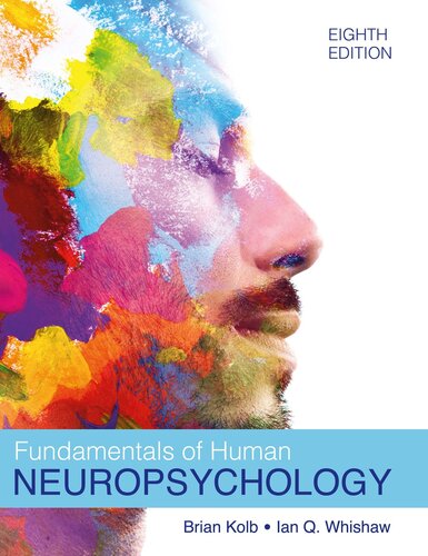 Fundamentals of Human Neuropsychology