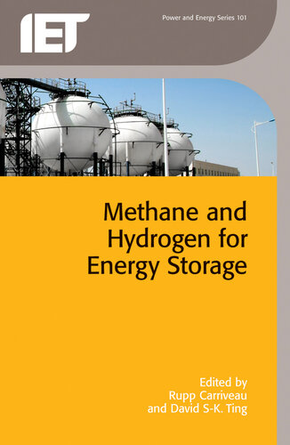 Methane and Hydrogen for Energy Storage (Energy Engineering)