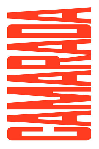 Camarada: Um ensaio sobre pertencimento político