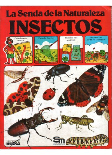 Insectos