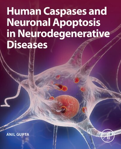 Human Caspases and Neuronal Apoptosis in Neurodegenerative Diseases