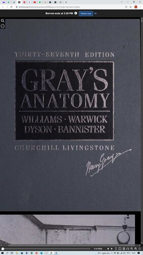 Gray's anatomy