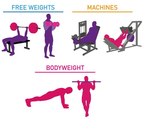 The Science of Training for Muscle Growth as a Beginner: The Ultimate Evidence-Based Guide For Men and Women of All Ages