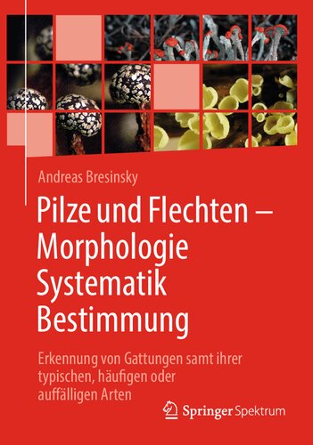 Pilze und Flechten - Morphologie Systematik Bestimmung