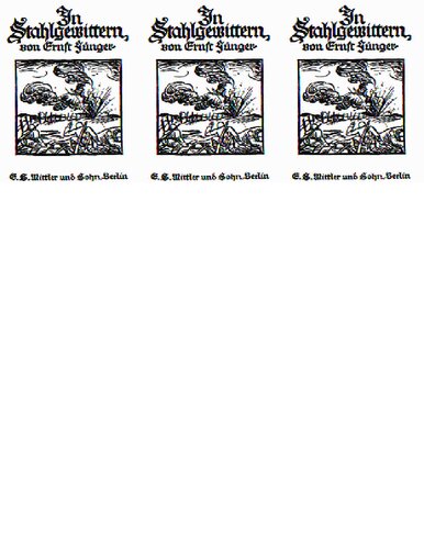 Ernst Juenger In Stahlgewittern. Aus dem Tagebuch eines Stoßtruppführers