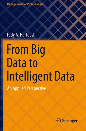 From Big Data to Intelligent Data: An Applied Perspective (Management for Professionals)