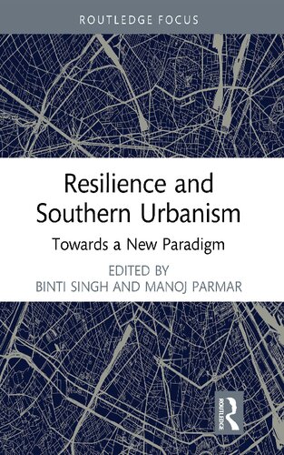 Resilience and Southern Urbanism: Towards a New Paradigm