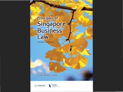 Principles of Singapore Business Law