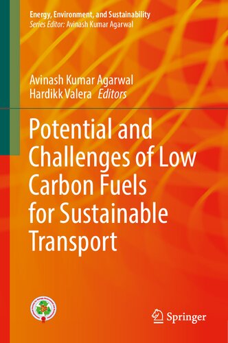 Potential and Challenges of Low Carbon Fuels for Sustainable Transport