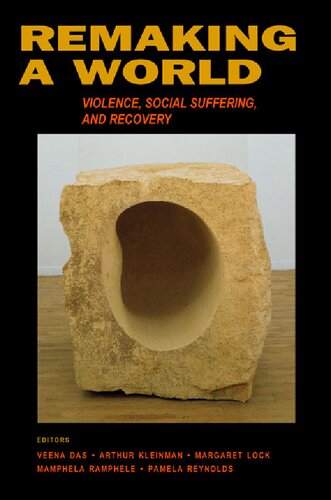 Remaking a World: Violence, Social Suffering, and Recovery