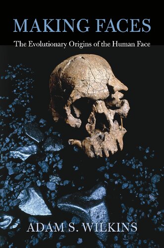 Making Faces: The Evolutionary Origins of the Human Face