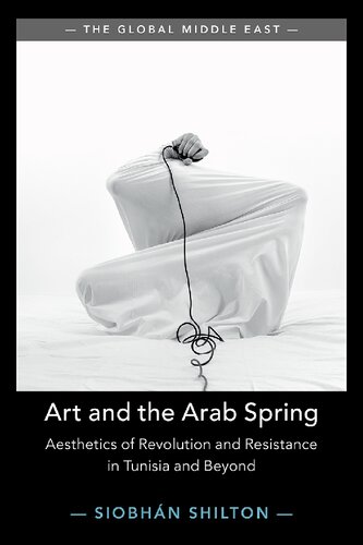 Art and the Arab Spring: Aesthetics of Revolution and Resistance in Tunisia and Beyond