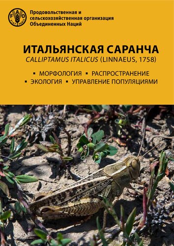 Итальянская саранча Calliptamus italicus (Linnaeus, 1758). Морфология, экология, распространение, управление популяциями.
