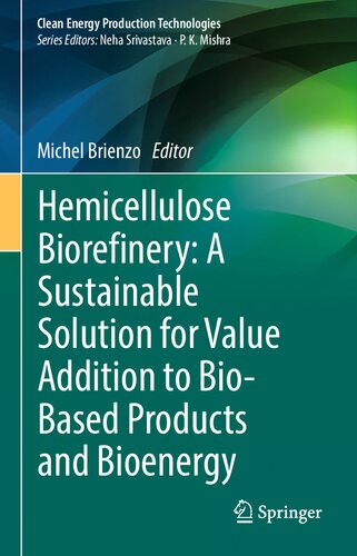 Hemicellulose Biorefinery: A Sustainable Solution for Value Addition to Bio-Based Products and Bioenergy